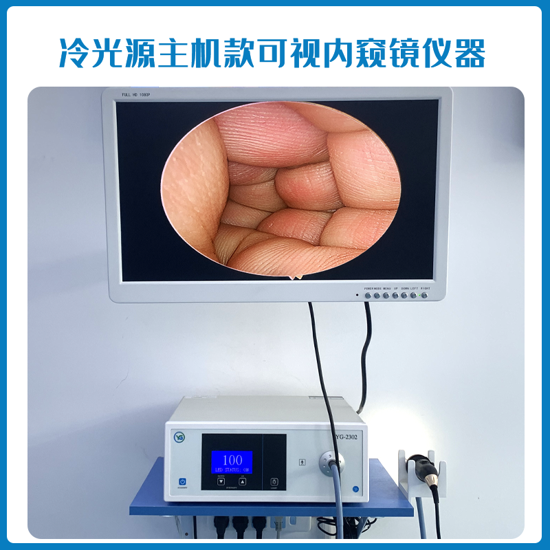 可视采耳去哪里学比较好