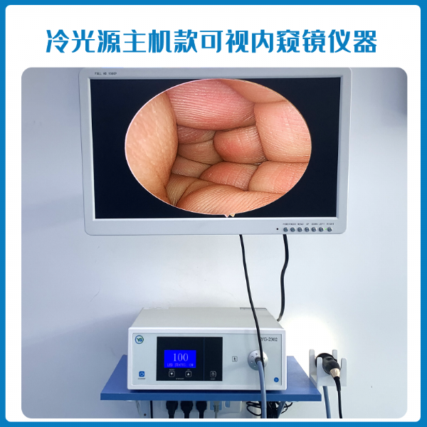 可视采耳去哪里学比较好